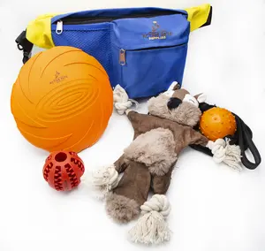 Woof AI Active Pet Toy Bundle