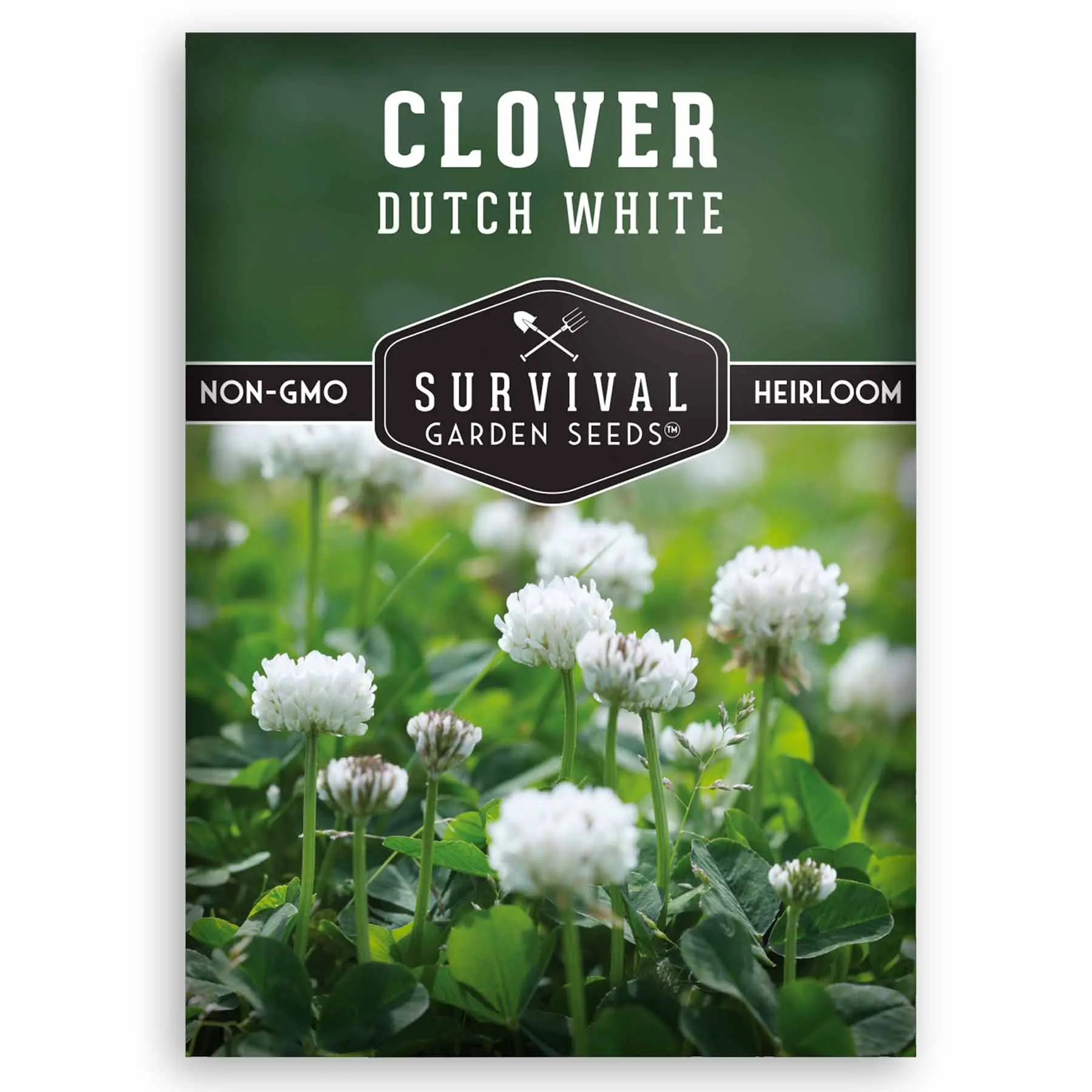 Dutch White Clover Seed - High Quality Seeds