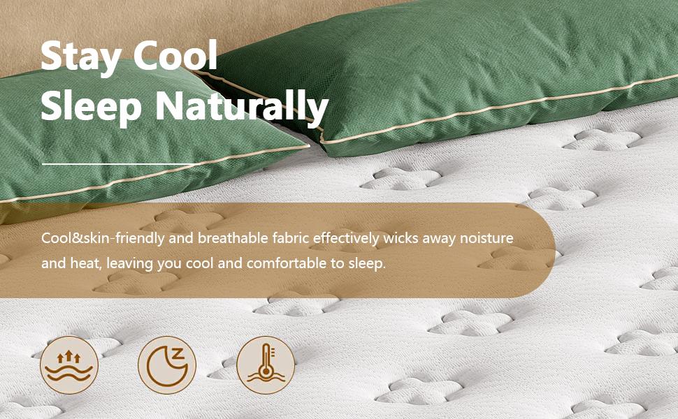 12 Inch Queen  in a Box, Medium Firm mattress king size bed position sleep support twin rolled comfort motion isolation hybrid memory furniture deals Foam Set High Quality Multi-Level Coil Spring gel saatva independent healthy pur certi fiber glass modern