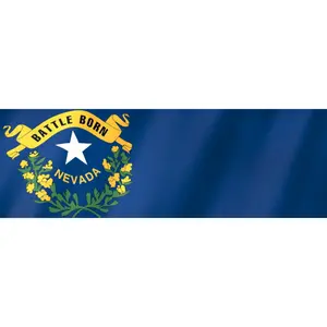 Nevada Brady List