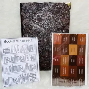 NLT Bible with Bible tracker and Bible tabs