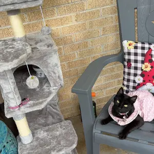 【New Size】 Cat Climbing Shelf, Post Cascading Cat Climbing Shelf, Indoor Playhouse, Cozy Nest, Durable, Space-Saving Design, Gift for Pet Owners Summervibes