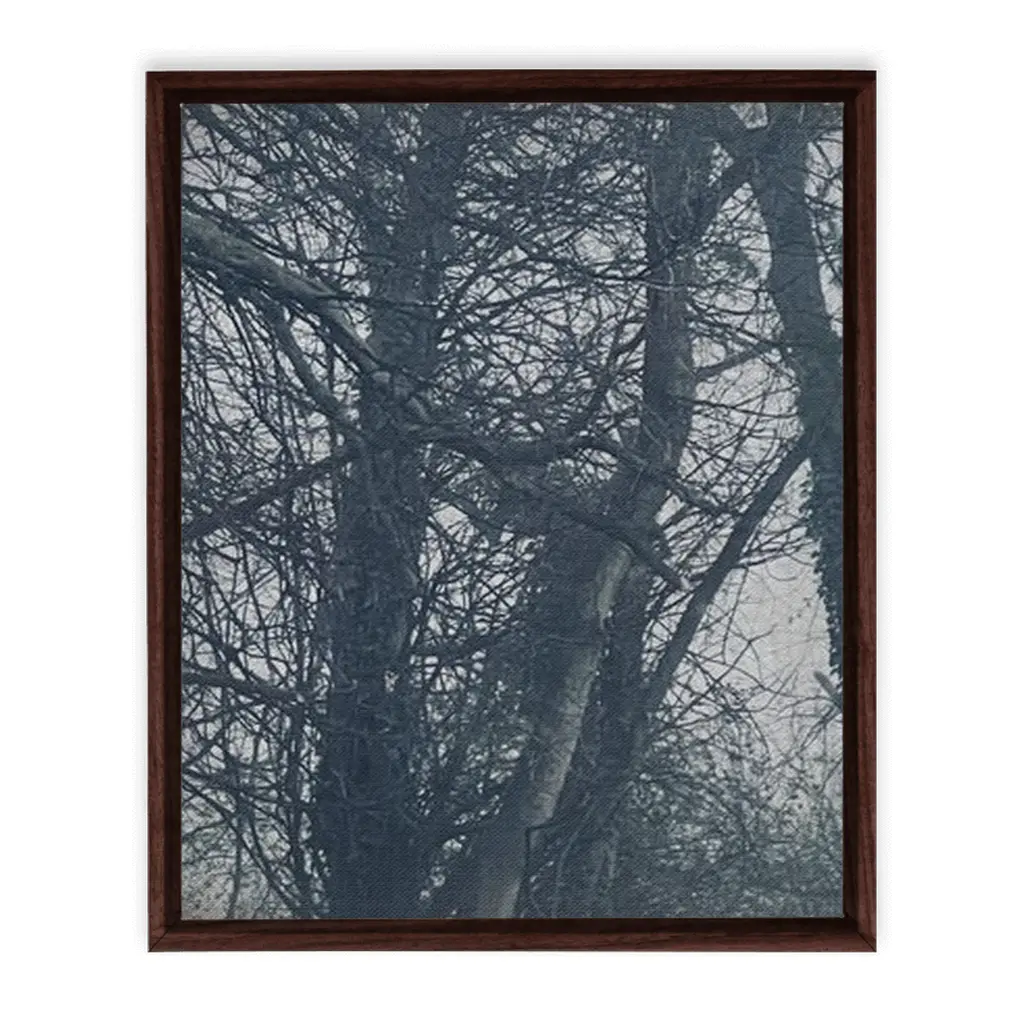Framed Canvas Wraps