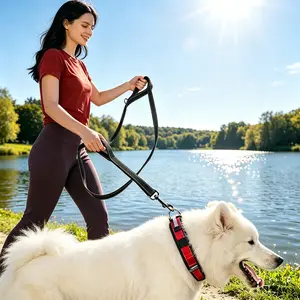 Pet Double Handle Pull Leash,Dual-Handle Dog Leash for Small & Medium Dogs, 6ft Long, 1 inch Wide, Durable Nylon Traffic Control Leash