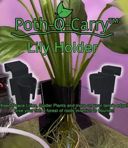 Poth-O-Carry® Lily Holder - Keep Peace Lilies, Spider Plants and more on your tank's edge!