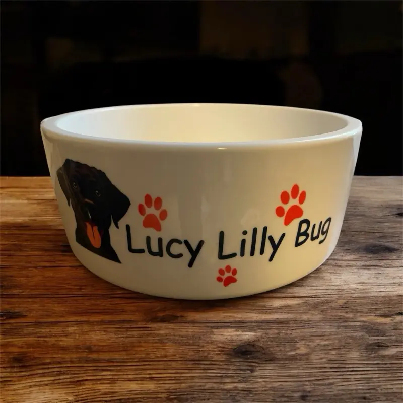 Personalized Dog Breed Bowl - Customizable Pet Feeding Bowl with Name and Paw Prints