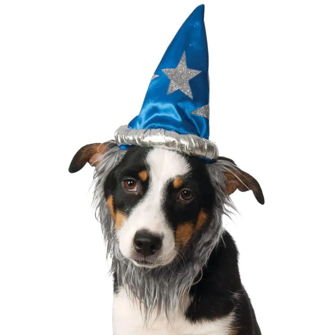 Pets Wizard Hat with Beard Costume Accessory
