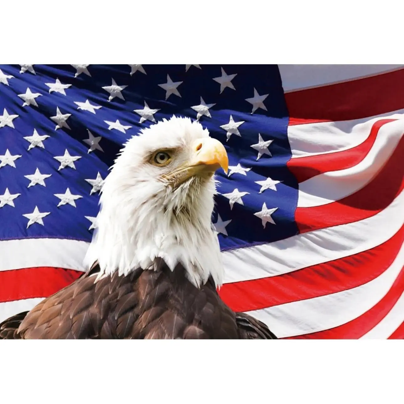 For American Eagle-2pcs