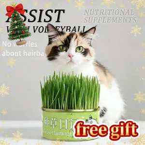 Organic Cat Grass Seeds Pack  Non-GMO Heirloom Cat Grass Seeds for Indoor & Outdoor Cats  100% Organic Cat Grass Seeds - Cat Grass for Indoor Cats - (Non GMO) cat grass seeds Suitable for Indoor Cats - Planting Kit with Organic Seed Mix