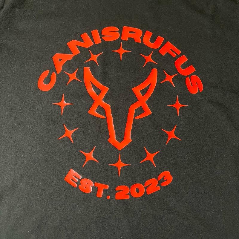 T-Shirt  Stylish Cotton