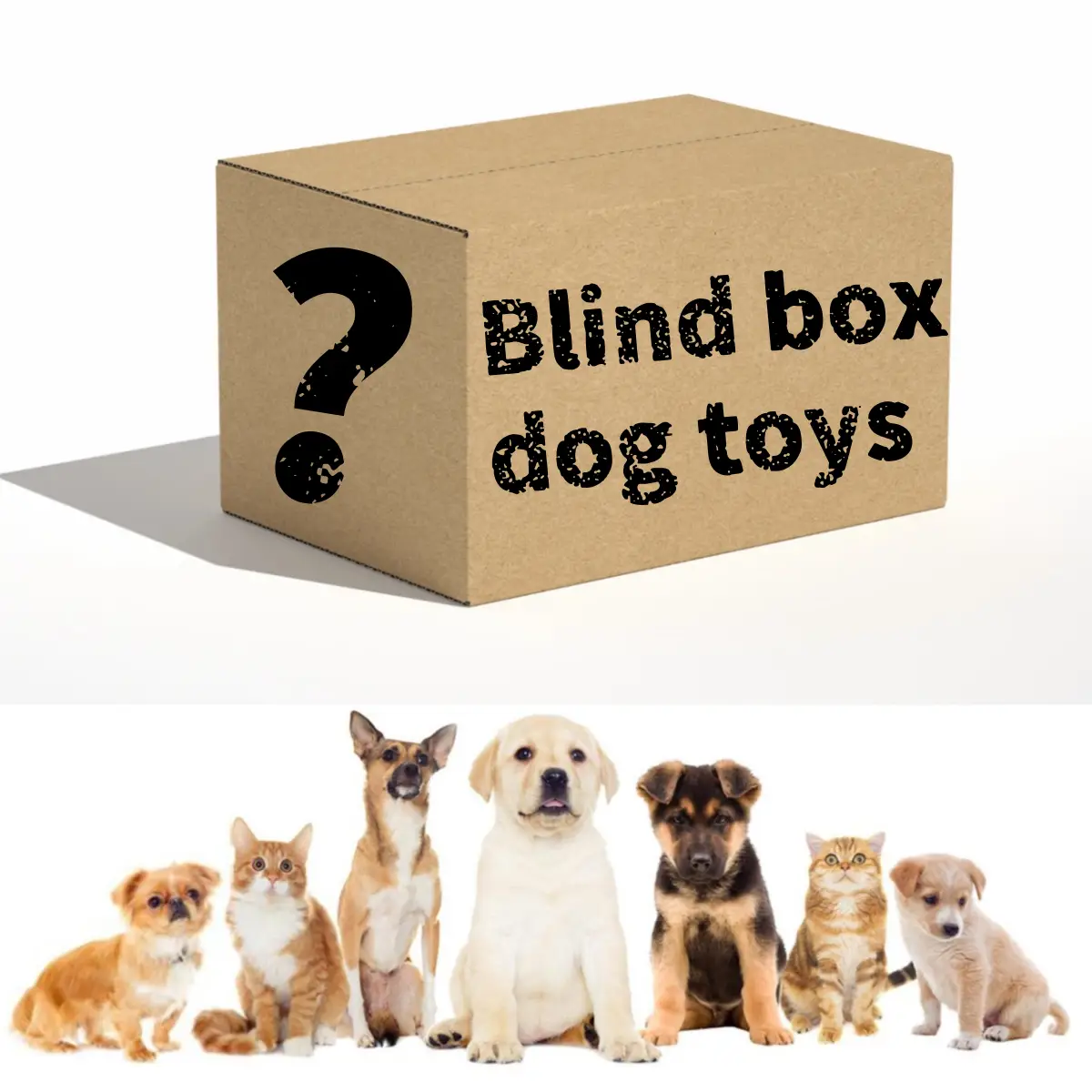 【 Blind Box - Pet Toys 】 Plush toys for pet dogs, smart ball toys for pet dogs, interactive toys for pet dogs tiktok of dogtoys Durable Chew