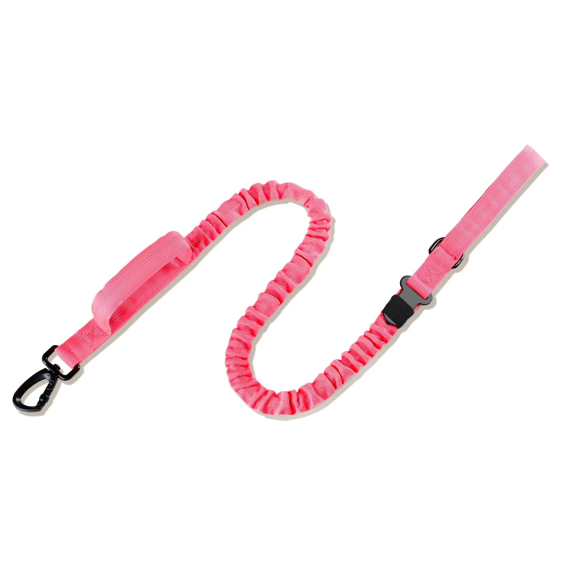Rose Red - Leash