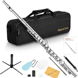 Flutes - Closed Hole C Flute For Beginners, 16-Key Flute with a Carrying Case, Stand, and Cleaning Kit, Tuning Rod, Musical Instrument for Kids, Nickel
