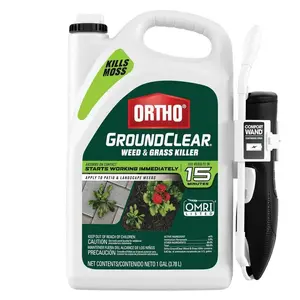 GroundClear Weed and Grass Killer 1 gal. OMRI Listed Spray Ready-to-Use Weed with Comfort Wand for Landscapes