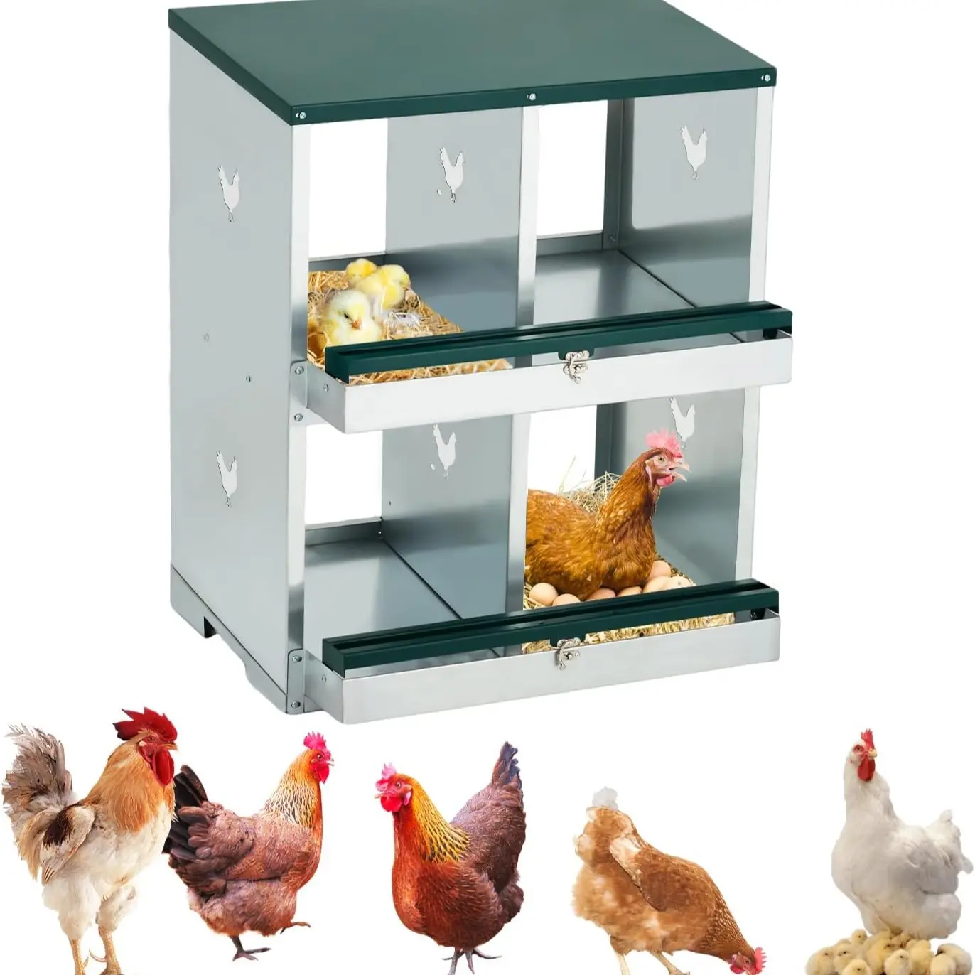 Green | 4 Compartment