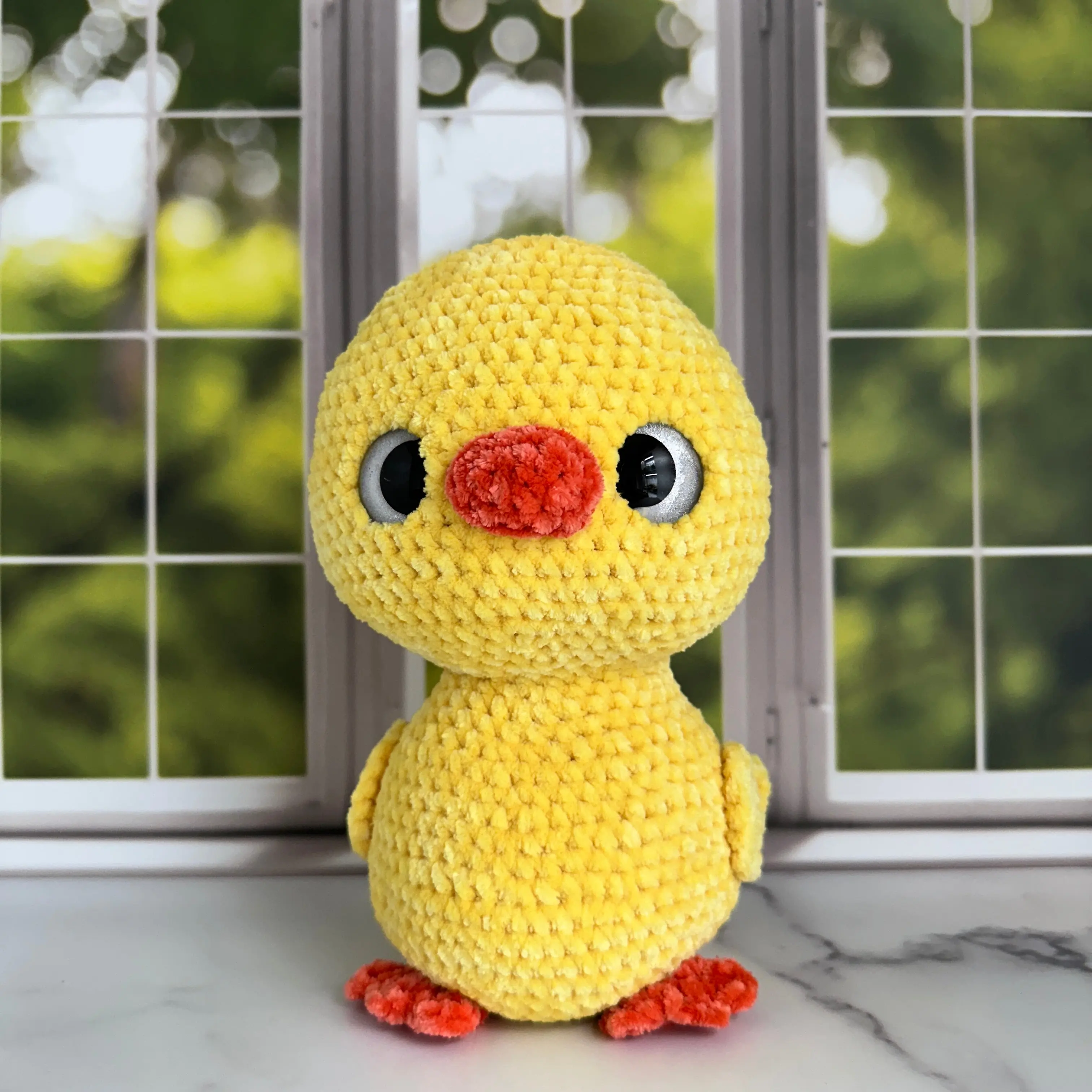 duck