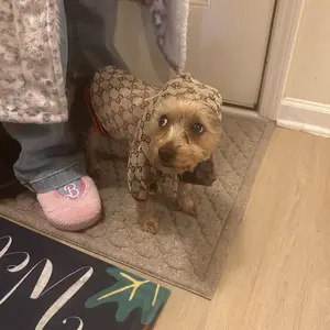 Dog Hoodie Luxury Fashion Winter Small Dog Jacket Clothes Vintage Classic Designer Warm Pet Coats Zipper Design Easy On/Off French Bulldog Teddy Pug Puppy Clothes(S)