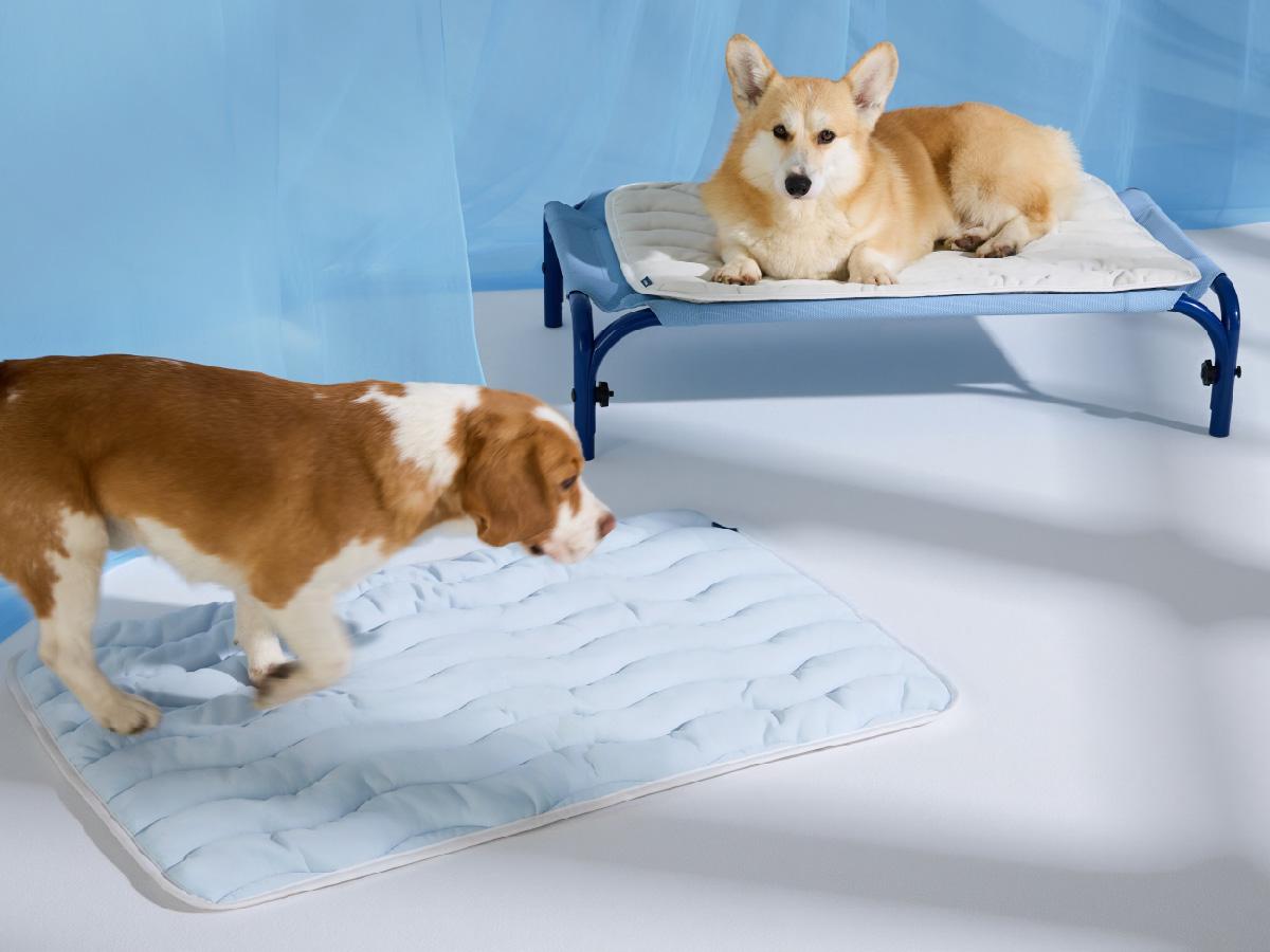 Bedsure Cooling Thin & Thick Mat for Dogs – Q-MAX>0.4 Washable Pet Cooling Pad, No Gel, No Electric, Non-Slip Summer Crate Bed for Large Dogs Bedsure Cooling Thin & Thick Mat for Dogs – Q-MAX>0.4 Washable Pet Cooling Pad, No Gel, No Electric, Non-Slip Summer Crate Bed for Large Dogs