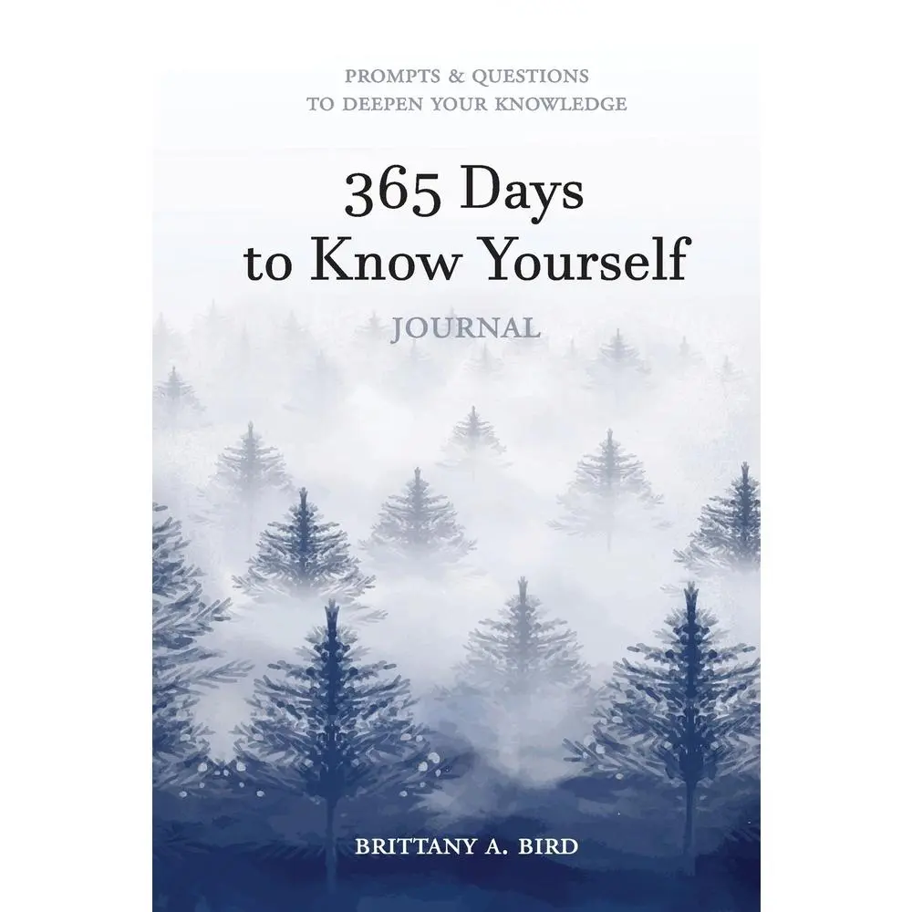 USED-365 Days to Know Yourself by Bird, Brittany A. (Paperback)