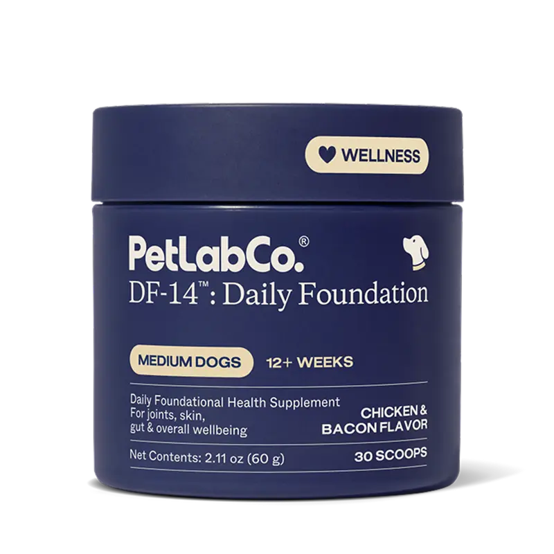 DF-14 Daily Foundation: 14-in-1 multifunctional dog supplement powder - longevity support made simple with one easy daily scoop