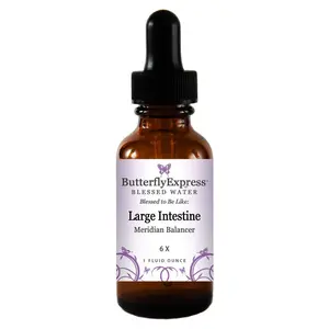 Large Intestine Meridian Wholesale