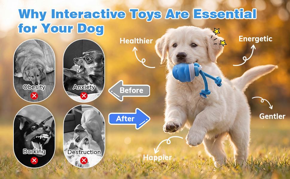 Interactive Dog Toys with Motion Activated, Squeaky Dog Toy Active Rolling Ball, Ball for Daily Training,Used for small dogs and cats , pet accessories, cute pet toys(2.95*2.95*4.33inch)