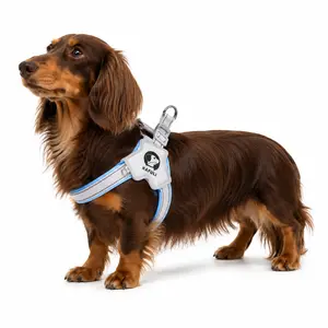 Basic Halter dog  Harness - Adjustable, No-Choke, No-Pull Design with Reflective Strips for Easy Walking, Training - Fits Small, Medium