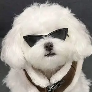 Pet Triangle Sunglasses, Cat Glasses, Small Eyewear Photo Prop, Pet Accessories, Pet Toys, Pet Supplies, Cute Animal Shades