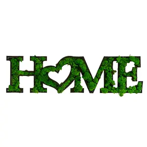 Real Preserved Moss Wall Decor, No Maintenance Required Eco Natural Green Wall Art Moss Frame Living Plants Vertical Garden,H-OME Letter Art(31"*8")