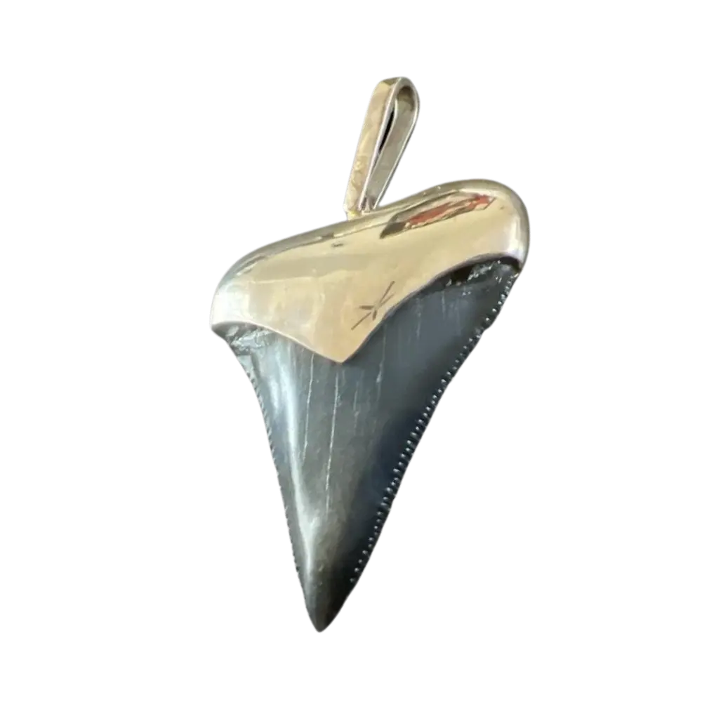 Megalodon Tooth Pendant | Sterling Silver