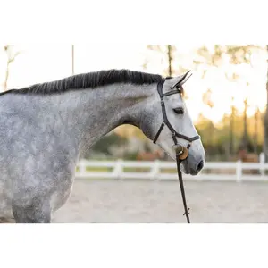 F.R.E Micklem Style Ergonomic Bridle | Brown