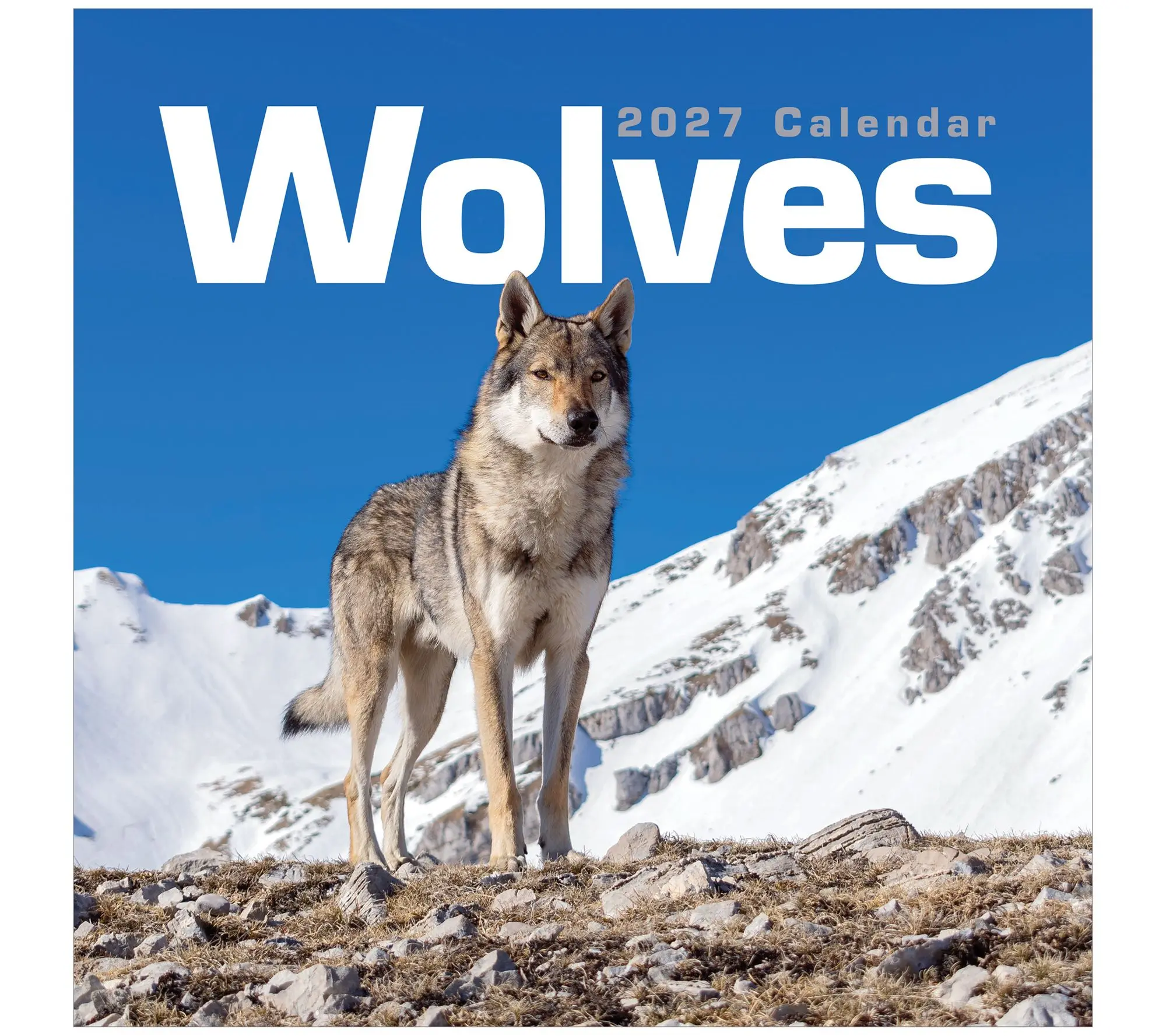 TF Publishing 2027 Wolves Wall Calendar