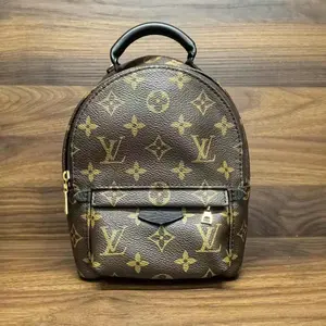 Pre-owned Louis Vuitton leather Backpacks Monogram Canvas Palm Springs Mini Backpack Bag molly 26060046 05