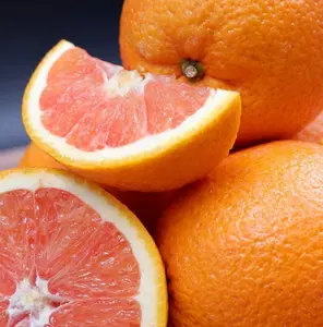 Red Navel Orange Tree, Orange Grafted Tree 2 To 3 Feet Tall In 1 Gal, Grafted Citrus Tree, Orange Fruit Tree, Fruit Tropical Live Tree For Planting