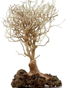 Mini Aquarium Tree BS (3.5 Inch Height) Natural, Handcrafted Fish Tank Decoration | Easy to Install