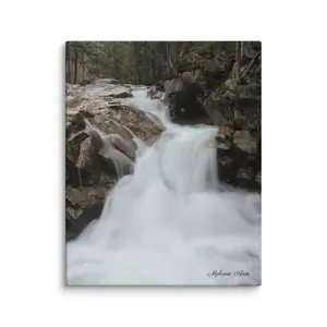 Tranquil Mist Canvas Print