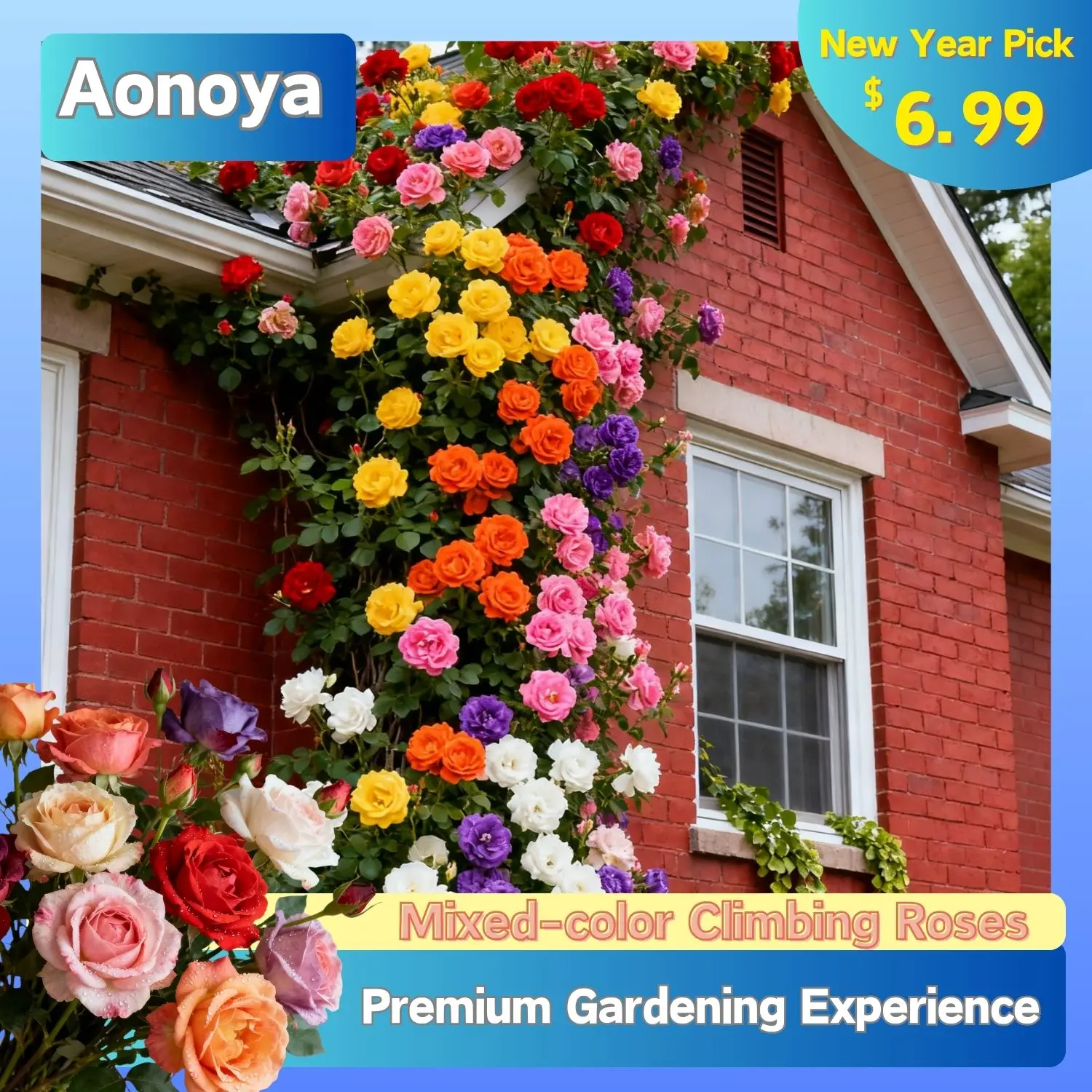 300/1000Pcs Rainbow Roses – Beginner Friendly, Stunning Summer Blooms，Transform Walls into Flower Cascades，Fast Growing, High Sprout Rate，Garden & Balcony Must-Have，Grow Your Own Rose Wall