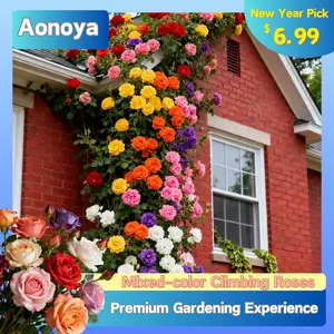 300/1000Pcs Rainbow Roses – Beginner Friendly, Stunning Summer Blooms，Transform Walls into Flower Cascades，Fast Growing, High Sprout Rate，Garden & Balcony Must-Have，Grow Your Own Rose Wall