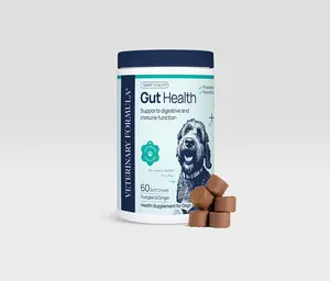 Gut Health Supplement