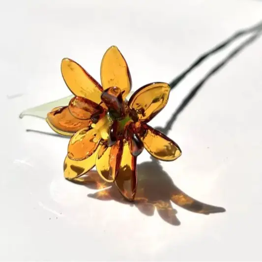 October Wanshou Chrysanthemum