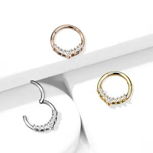 16G CZ Lined Hoop • Clicker Ring • Nose Ring • Septum Ring • Seamless Hoop • Hinged • Helix • Cartilage Piercing • Daith • Earring