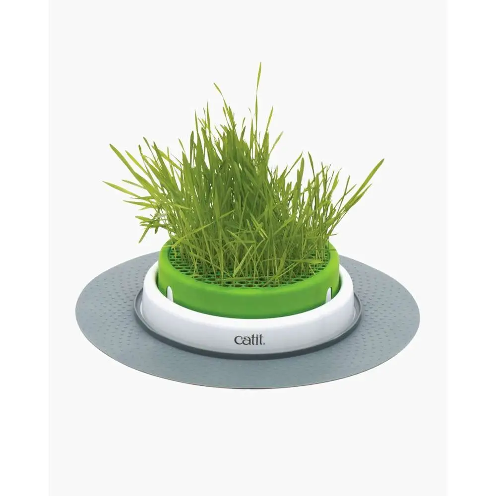 Catit Senses Grass Planter
