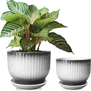 6.7 + 5.5 Inch Ceramic Plant Pots,Set of 2,Planters with Drainage and Saucer,Indoor Pots for Plants,Modern Flower Pots for Home and Office(Black + White)