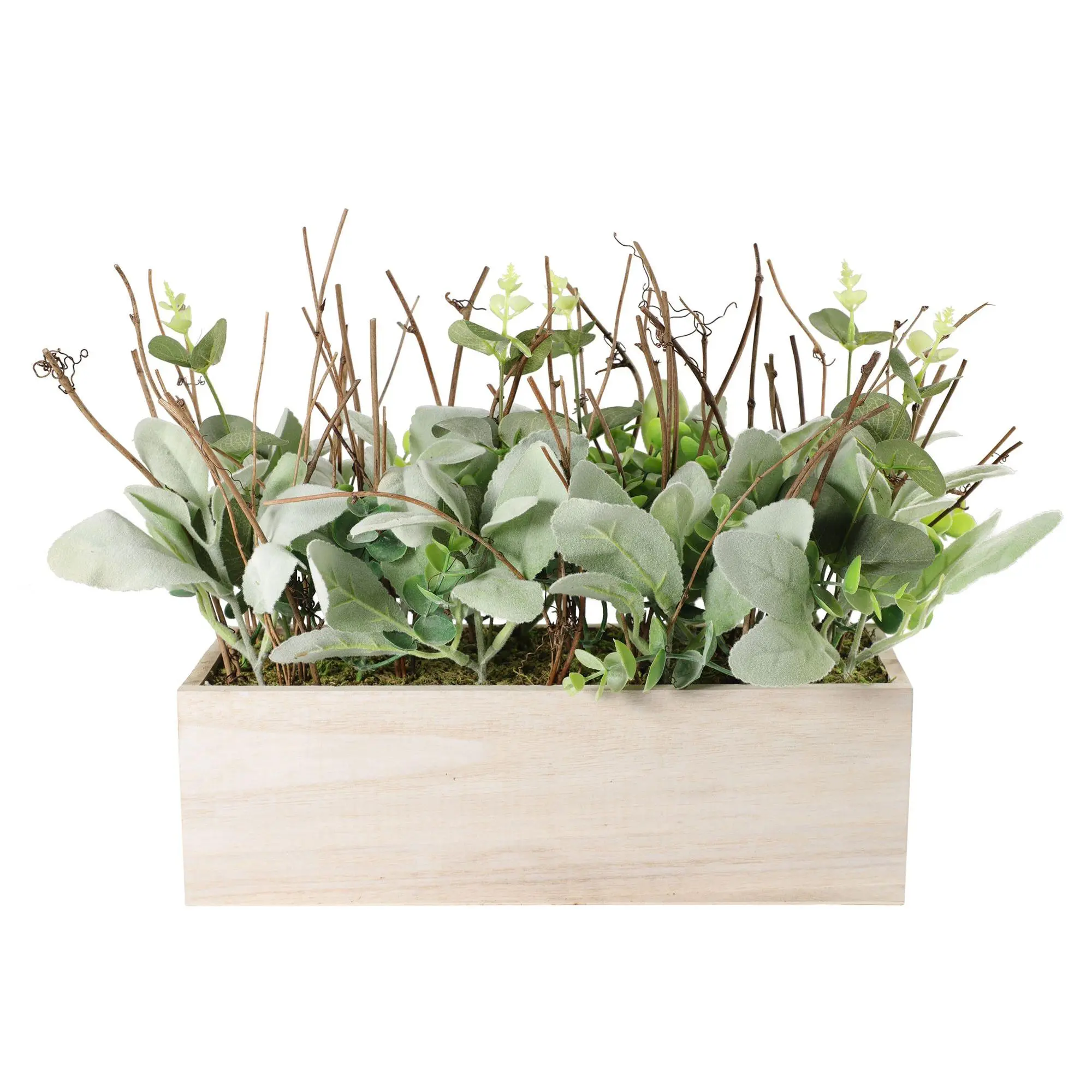 Puleo 11" Lambs Ear Centerpiece w/Twigs & Greenery in Wood