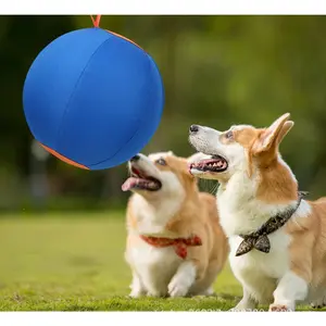 Durable Dog Ball with Strap, Interactive Tug Toy for Small/Medium Dogs  [PRE-ORDER] Ships in 30 Days