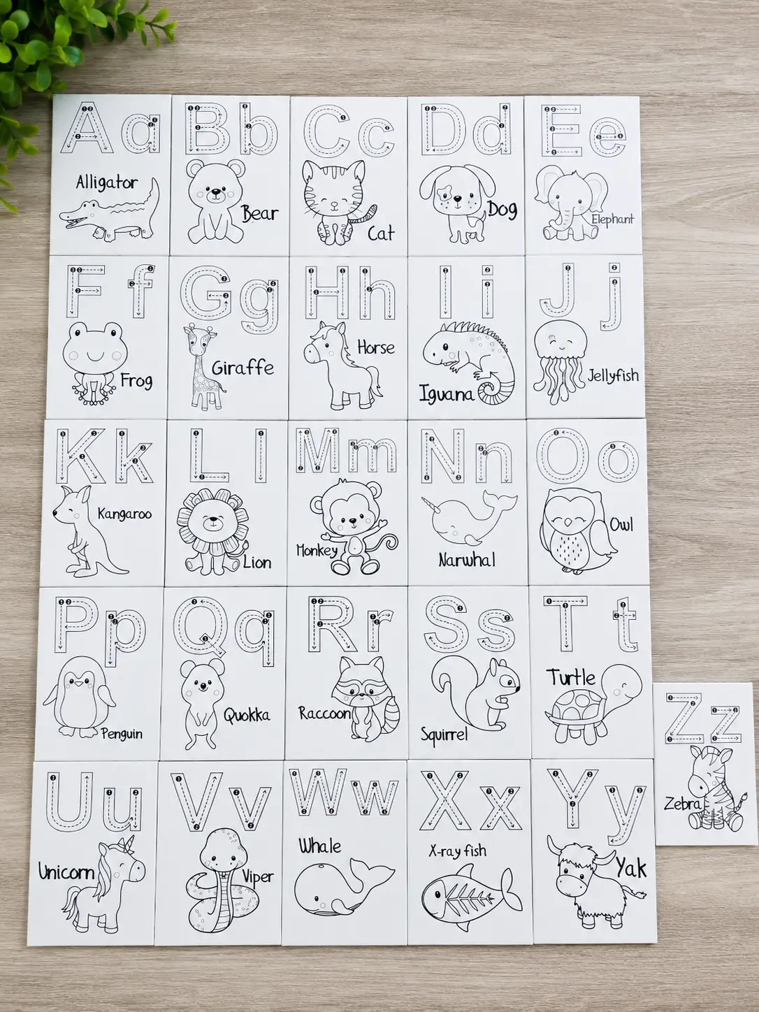 Children's Traceable Alphabet Magnet Set