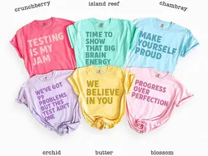 Custom Funny Motivational Student Shirts Comfort Colors, Test Day Exam Tee Collection, Back To School Outfit, Teacher Encouragement Gift, Gen Z School Testing Day Tee