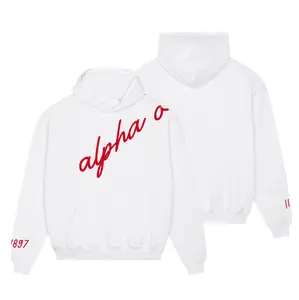Alpha Omicron Pi 1897 Avenue Pullover Hoodie