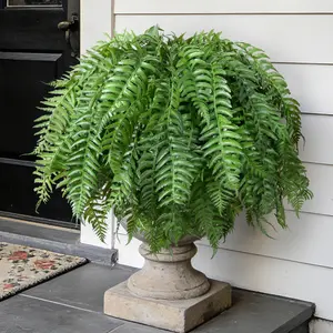 Ivydale Artificial Plants Outdoor, UV Resistant Fake Fern Faux Plant Greenery for Outside Planter Patio Home Garden Decor 5 Branches (Basket Excluded)