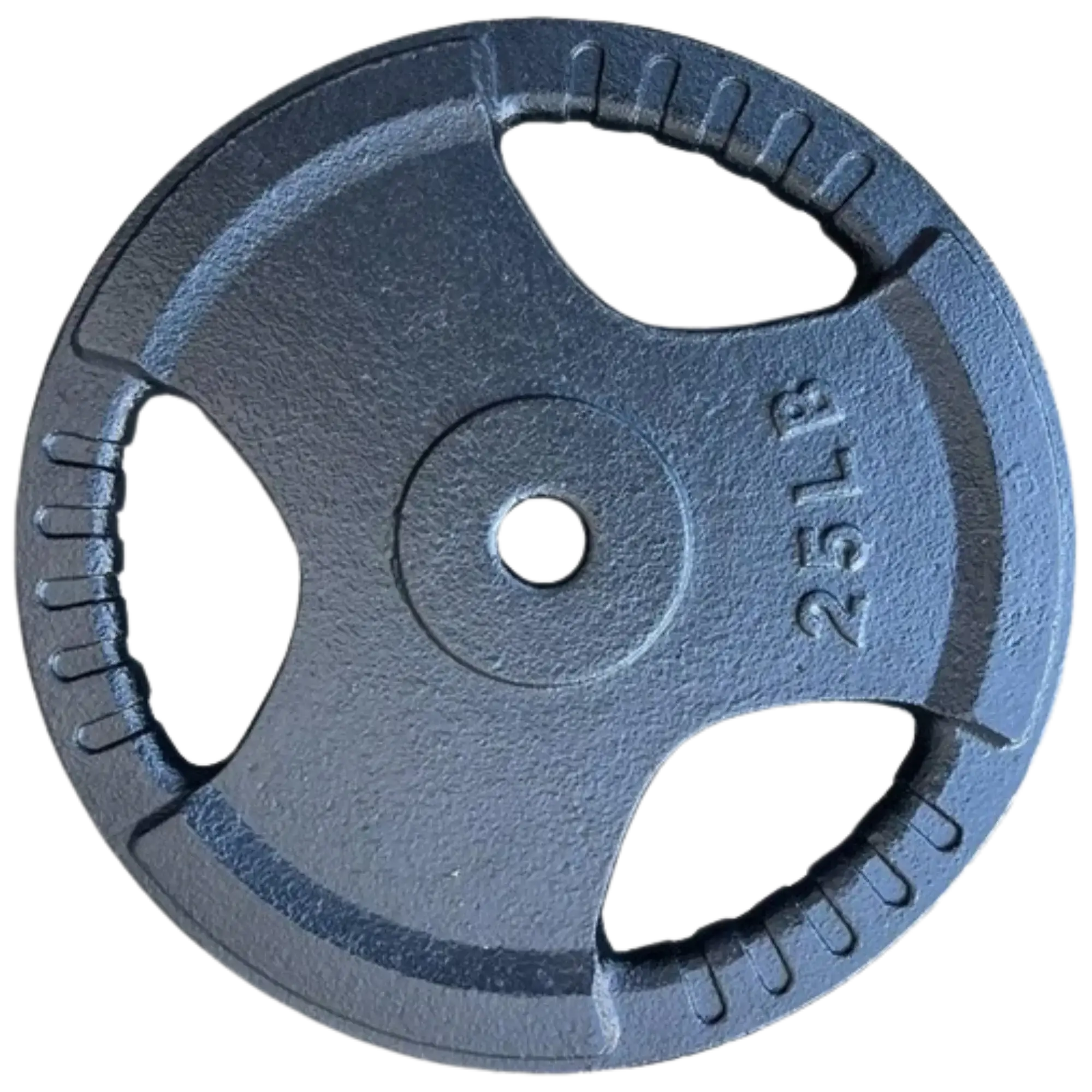 French Fitness Standard Cast Iron 1" Weight Plate 25 lbs (New)